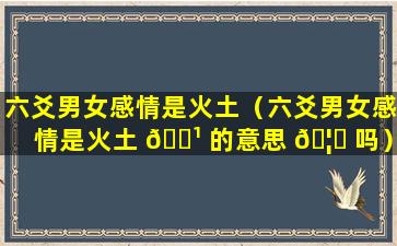 六爻男女感情是火土（六爻男女感情是火土 🌹 的意思 🦊 吗）